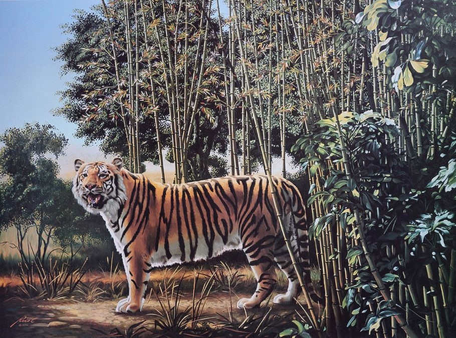 hidden tiger optical illusion with answer find-hidden-tiger-optical-illusion