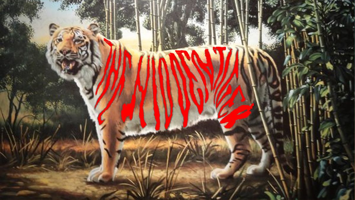 hidden tiger optical illusion with answer find-hidden-tiger-optical-illusion-answer