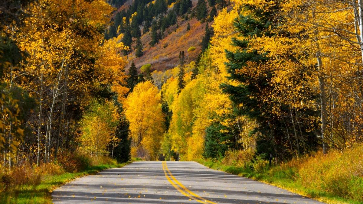 Aspen, Colorado - Best Place to see fall colors in USA