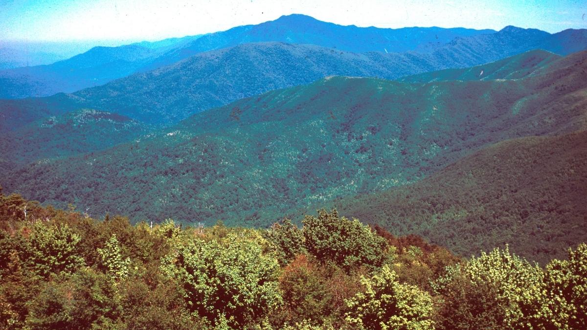 Great Smoky Mountains National Park - Best Place to see fall colors in USA