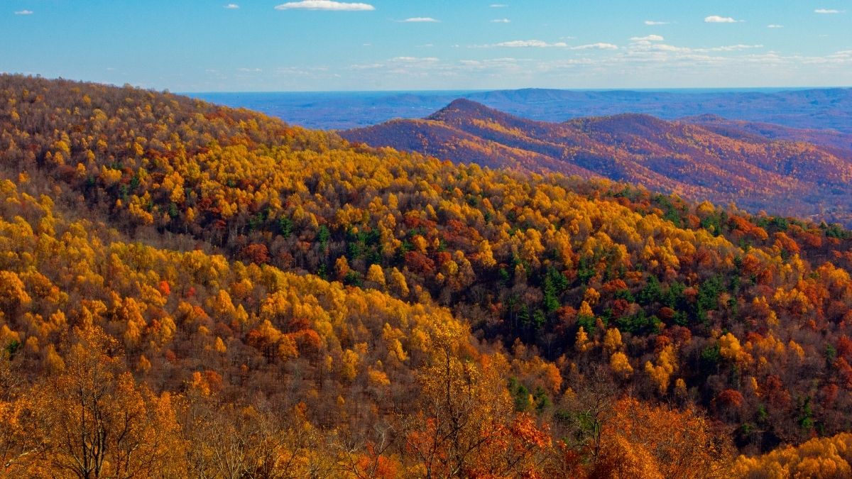 Shenandoah National Park Virginia - Best Place to see fall colors in USA