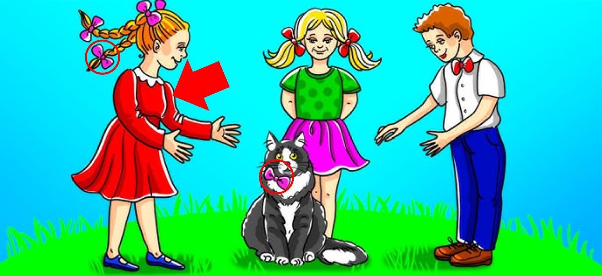 iq test brain teaser riddle with answers who-is-cat-owner-brain-teaser-answer