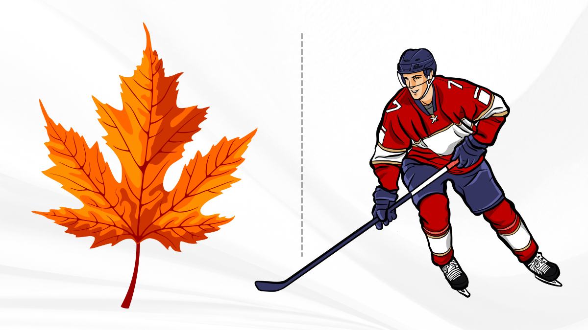 GUESS THE COUNTRY (2)