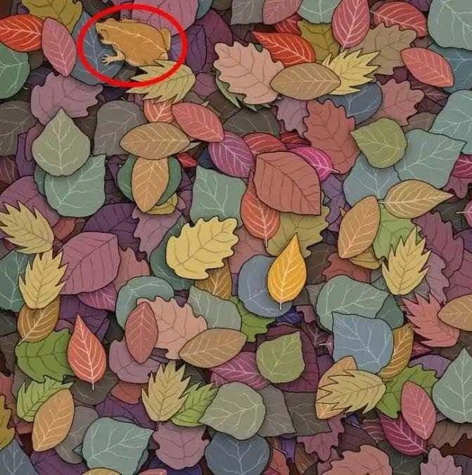 find-hidden-frog-optical-illusion-answer