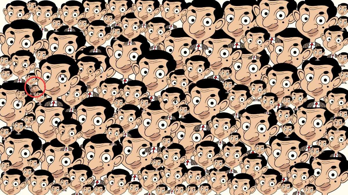 find the despicable-sol