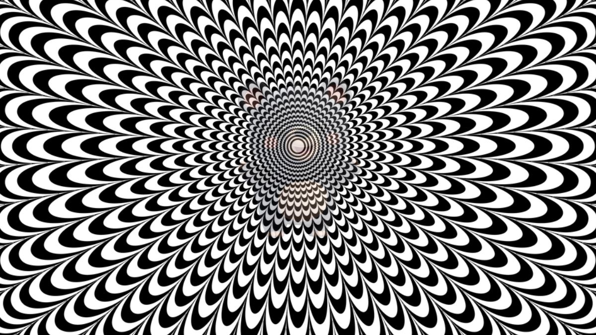 geomtrical optical illuison-que