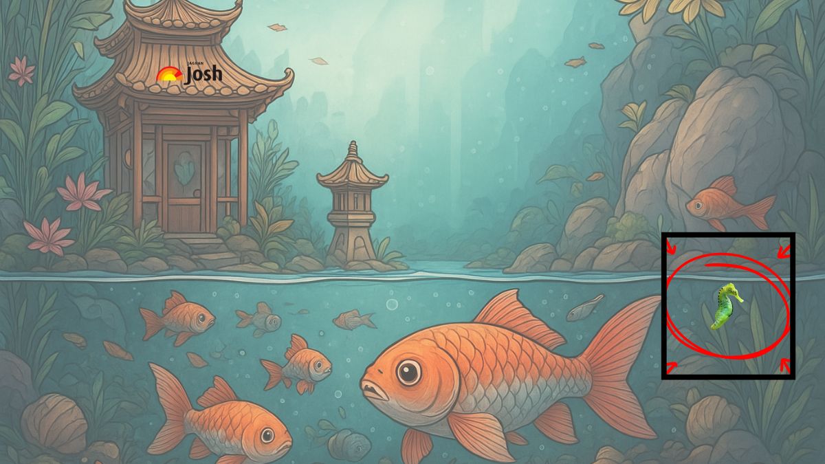 find the sea horse-sol