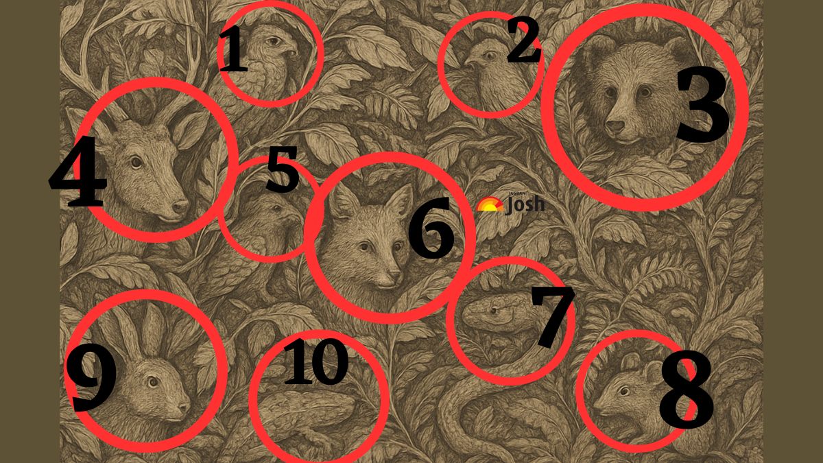 count the number of animal-sol