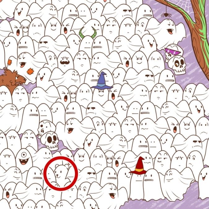 find-hidden-polar-bear-brain-teaser-answer