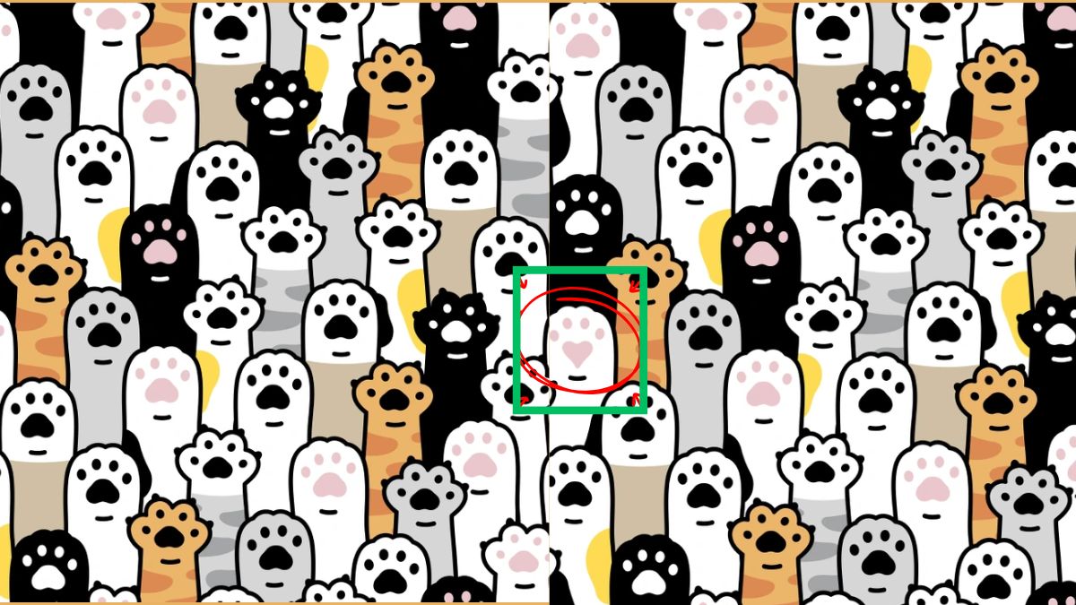 find the hidden heart-sol