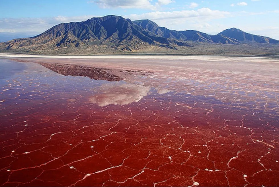 Lake-Natron-Tanzania-2-jpg