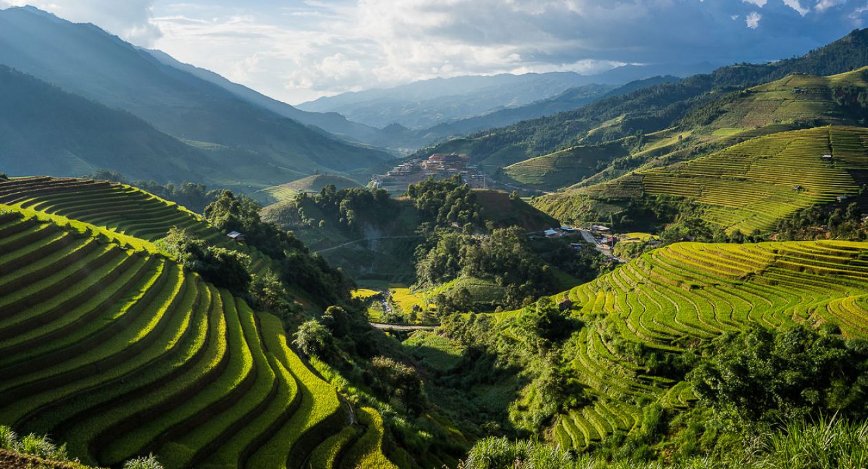Vietnam-Rice-farming