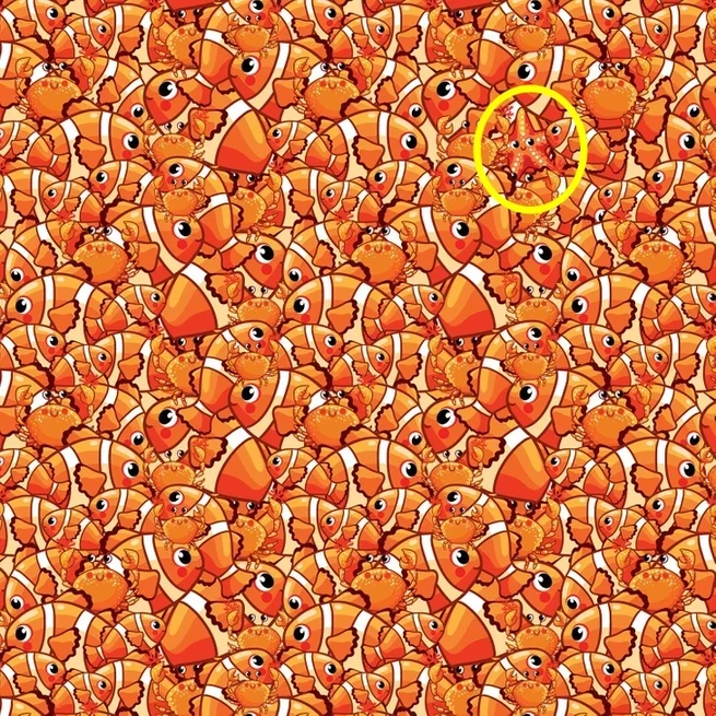Find the starfish solved