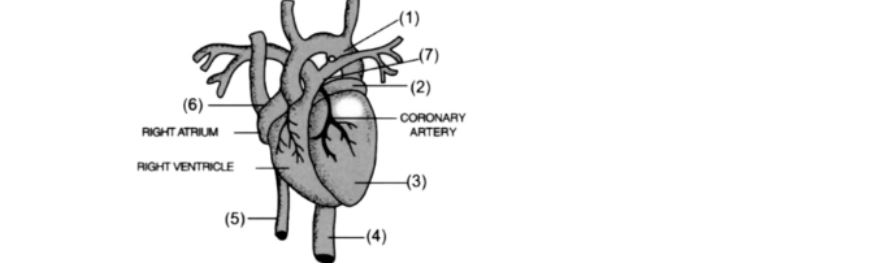 icse-class-10-biology-QP-image5