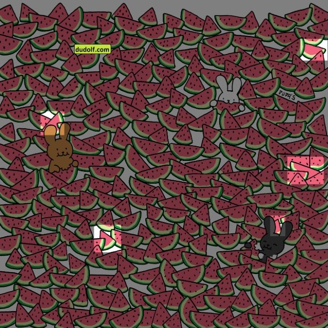hidden-seedless-watermelons-picture-puzzle-answer