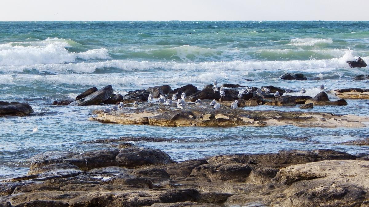 Caspian Sea deepest lake in the world