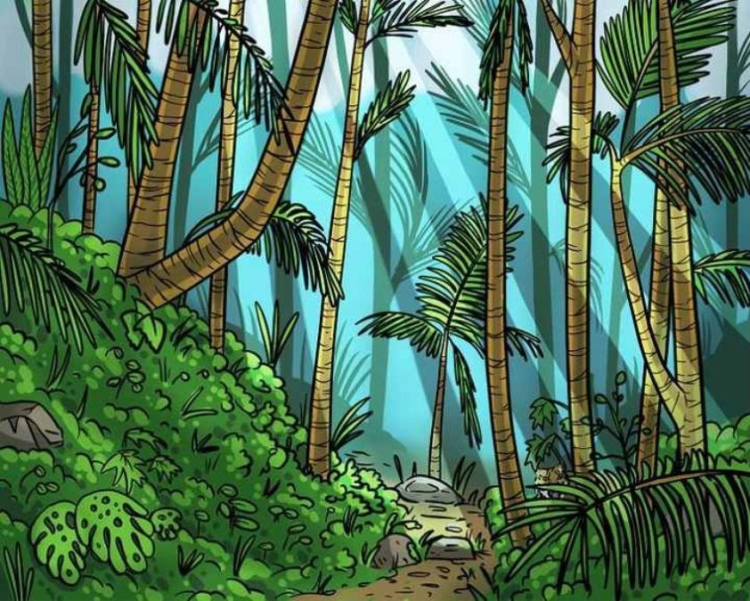 hidden optical illusions images find-hidden-tiger-optical-illusion