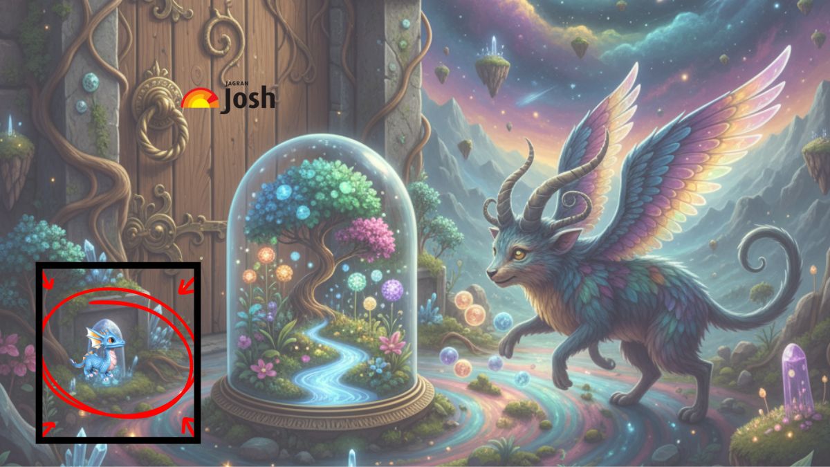 find the baby dragon-sol