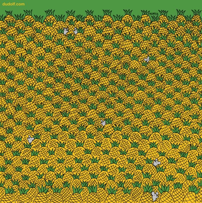 find-hidden-corns-picture-puzzle