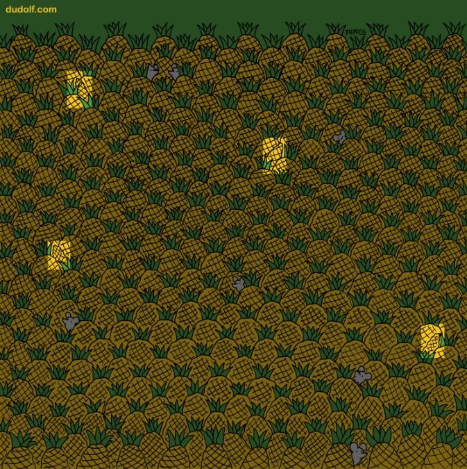 find-hidden-corns-picture-puzzle-answer