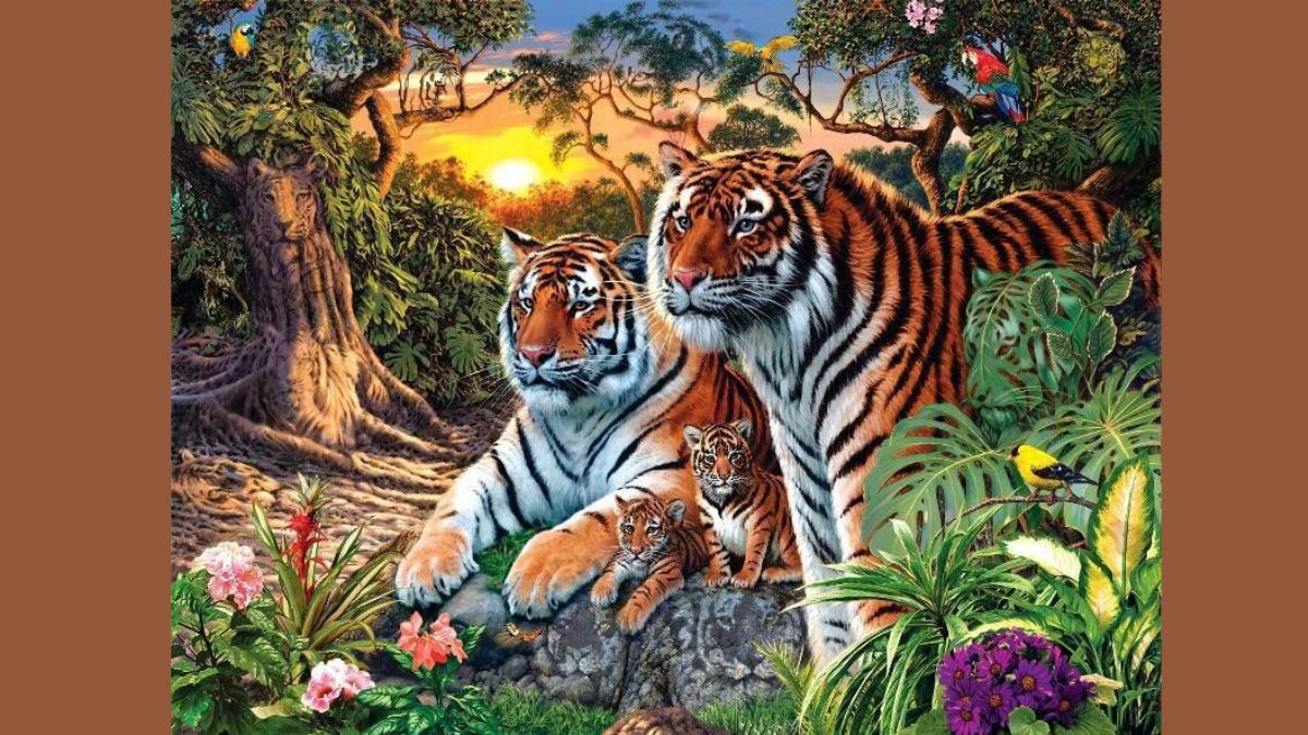 count the number of tigers