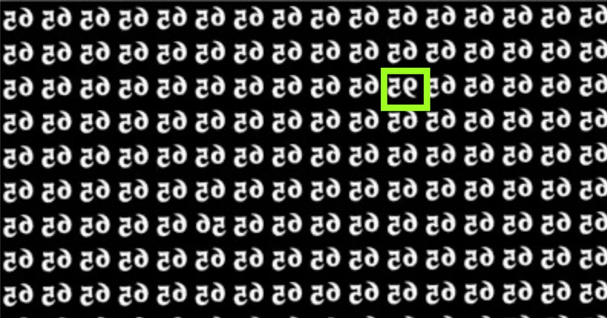 Untitled design (64)