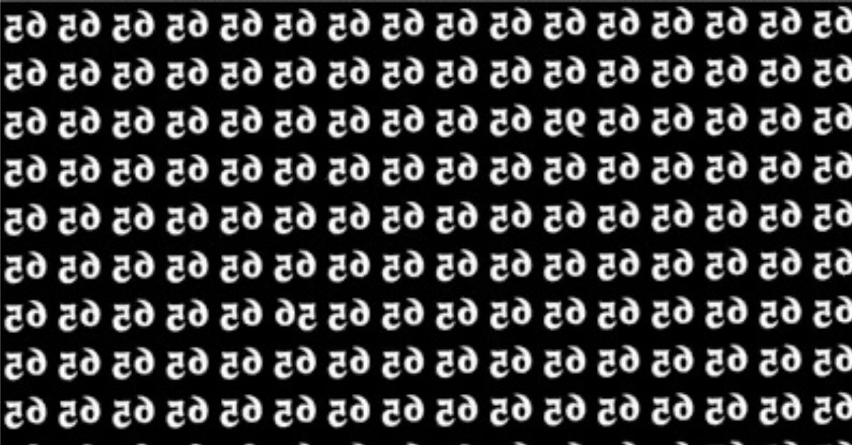 Untitled design (65)