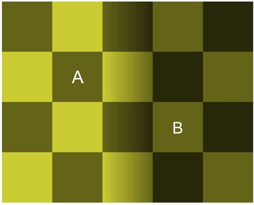 checker shadow illusion with answer which-is-darker-checker-square-optical-illusion