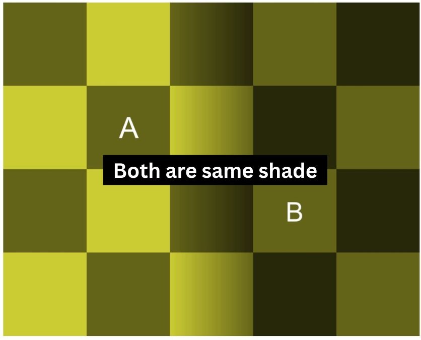 which-is-darker-checker-square-optical-illusion-answer