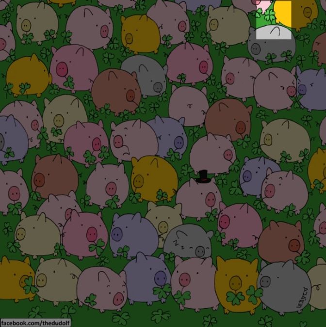 find-hidden-four-leaf-clover-picture-puzzle-answer