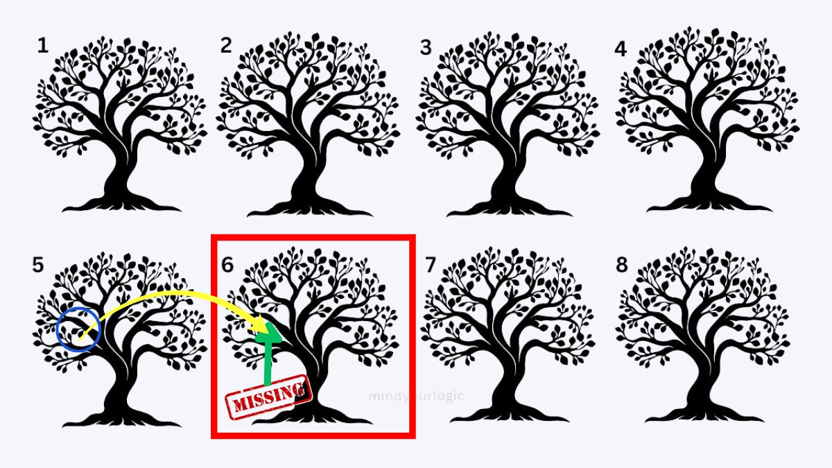 find te odd tree-sol