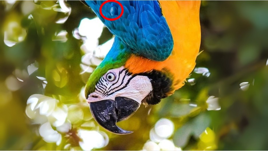 find the bottle solved