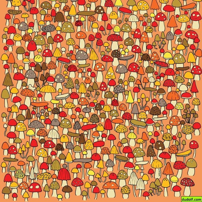 hidden mouse picture puzzle hidden-mouse-picture-puzzle