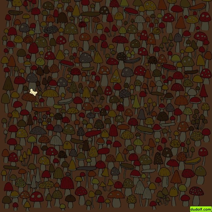 hidden-mouse-picture-puzzle-answer
