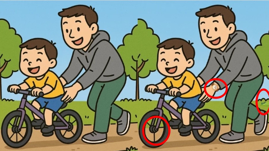 Spot differences solved