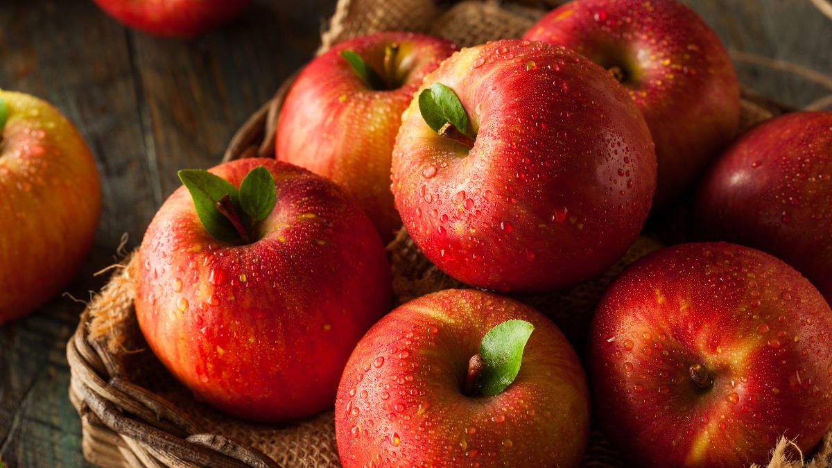 apple state apple state