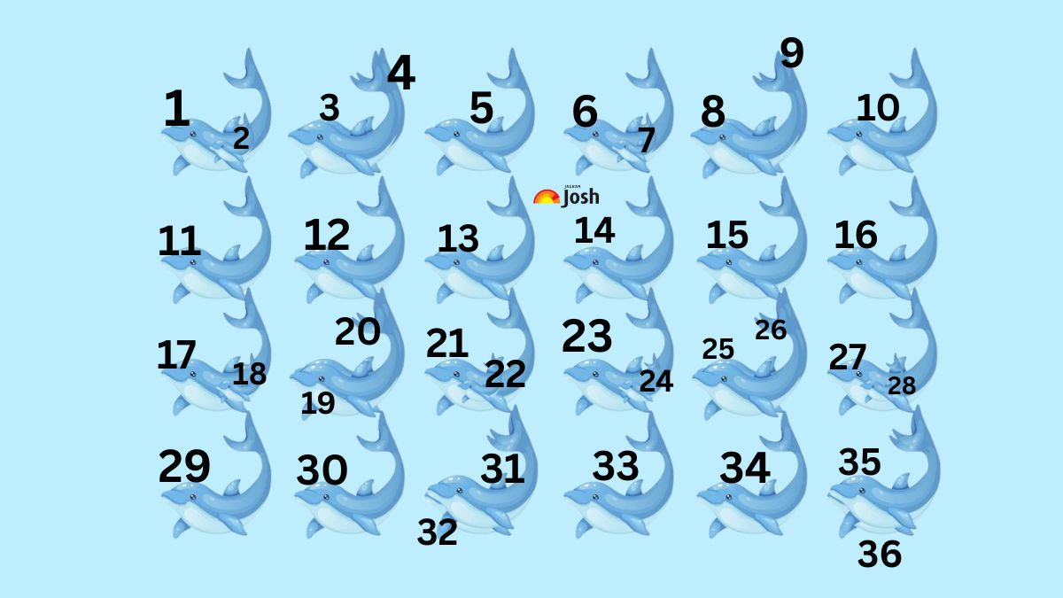 count the number of dolphin-solution