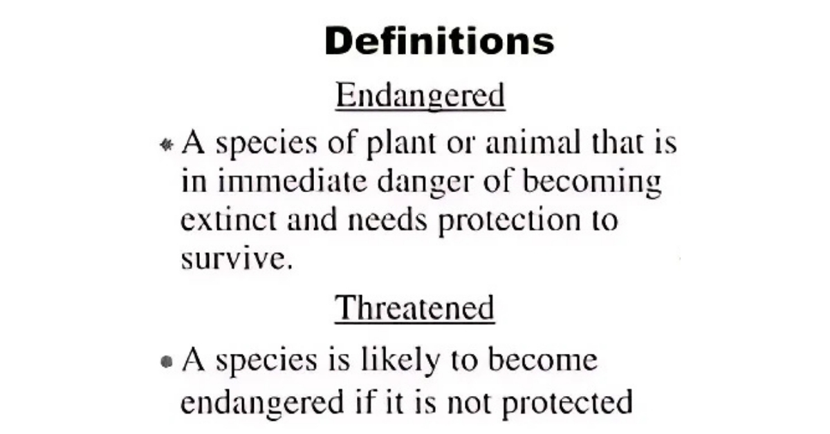 endangered-vs-threatened