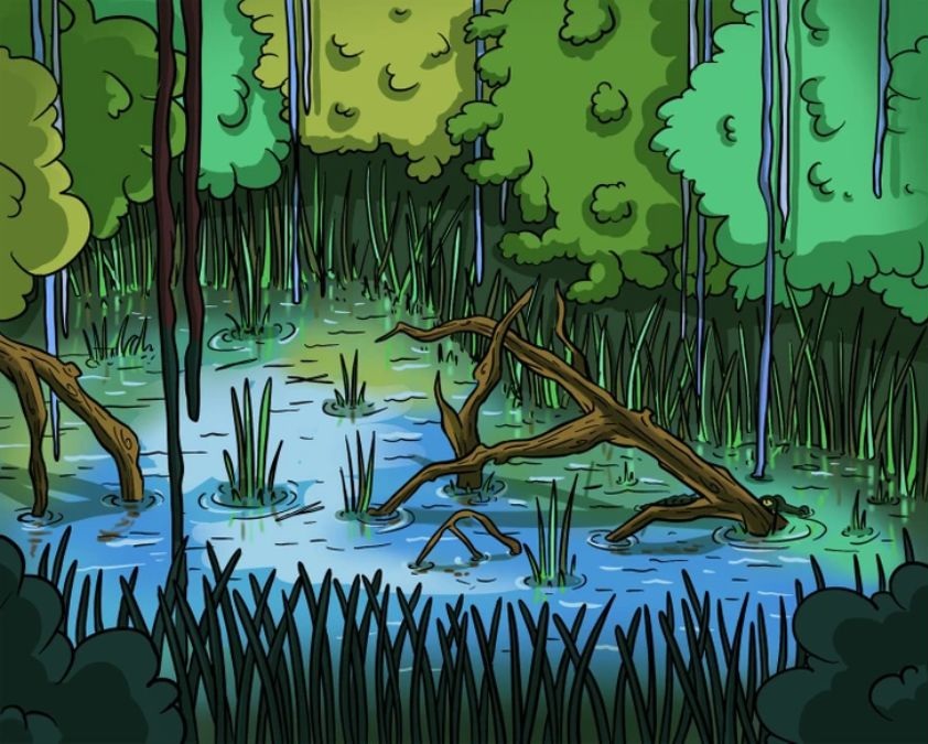 hidden picture puzzles with answers find-hidden-crocodile-picture-puzzle