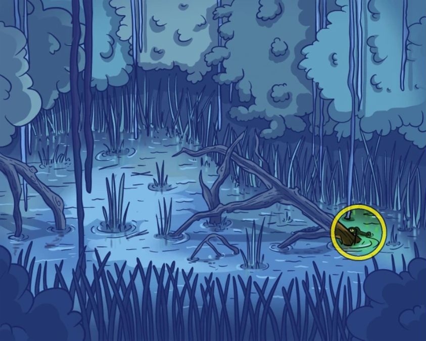 find-hidden-crocodile-picture-puzzle-answer