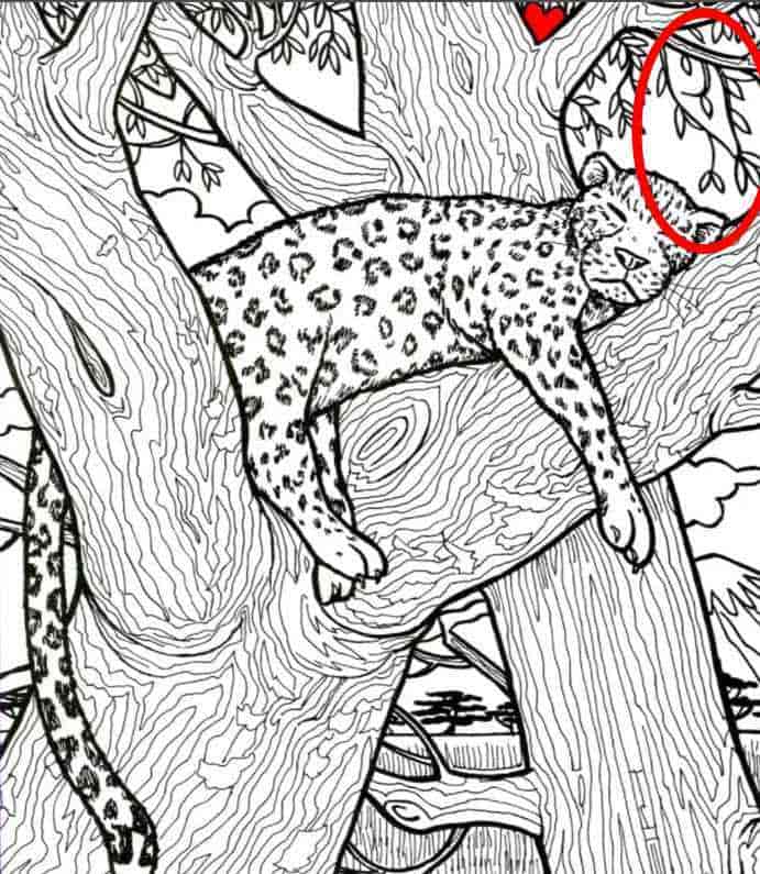 find the fish solution