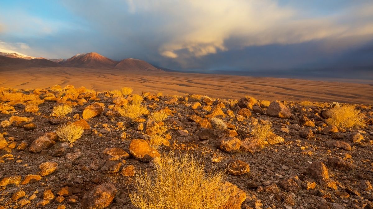 Atacama Desert Driest place on earth