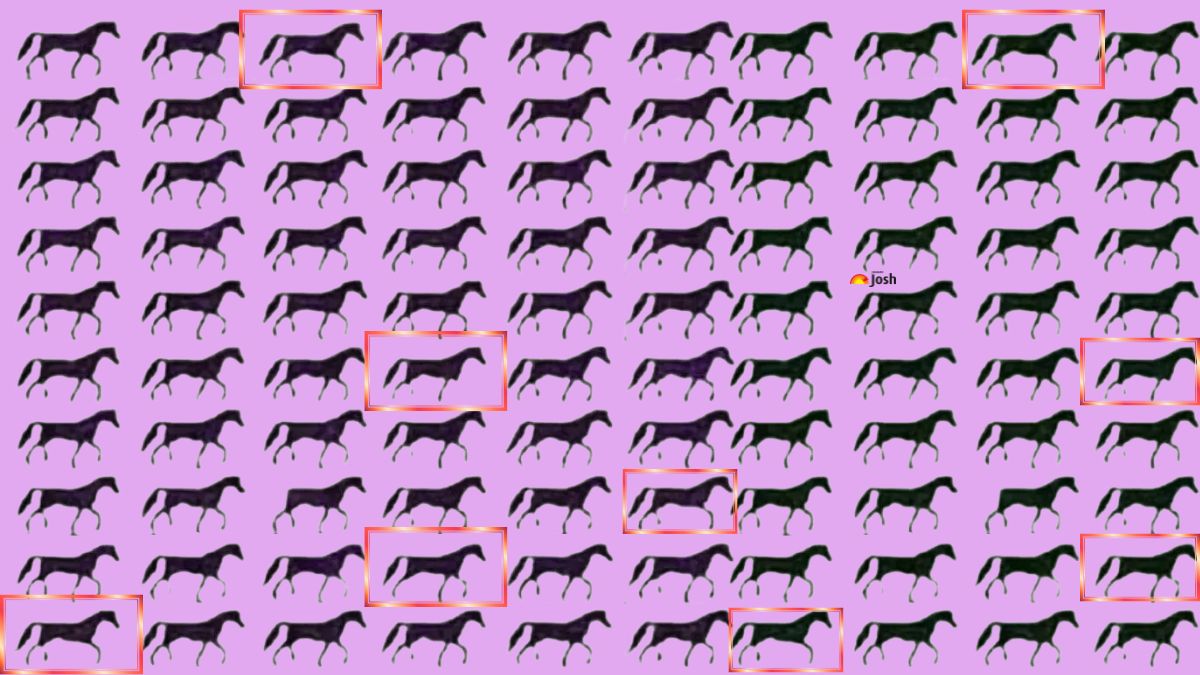 how many horses have 3 legs-sol