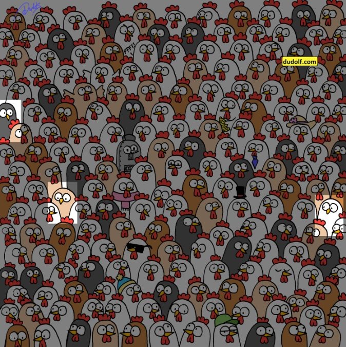 find-hidden-owls-picture-puzzle-answer