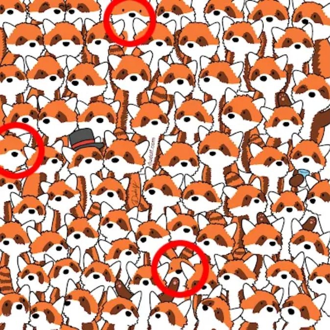 find-hidden-foxes-picture-puzzle-answer