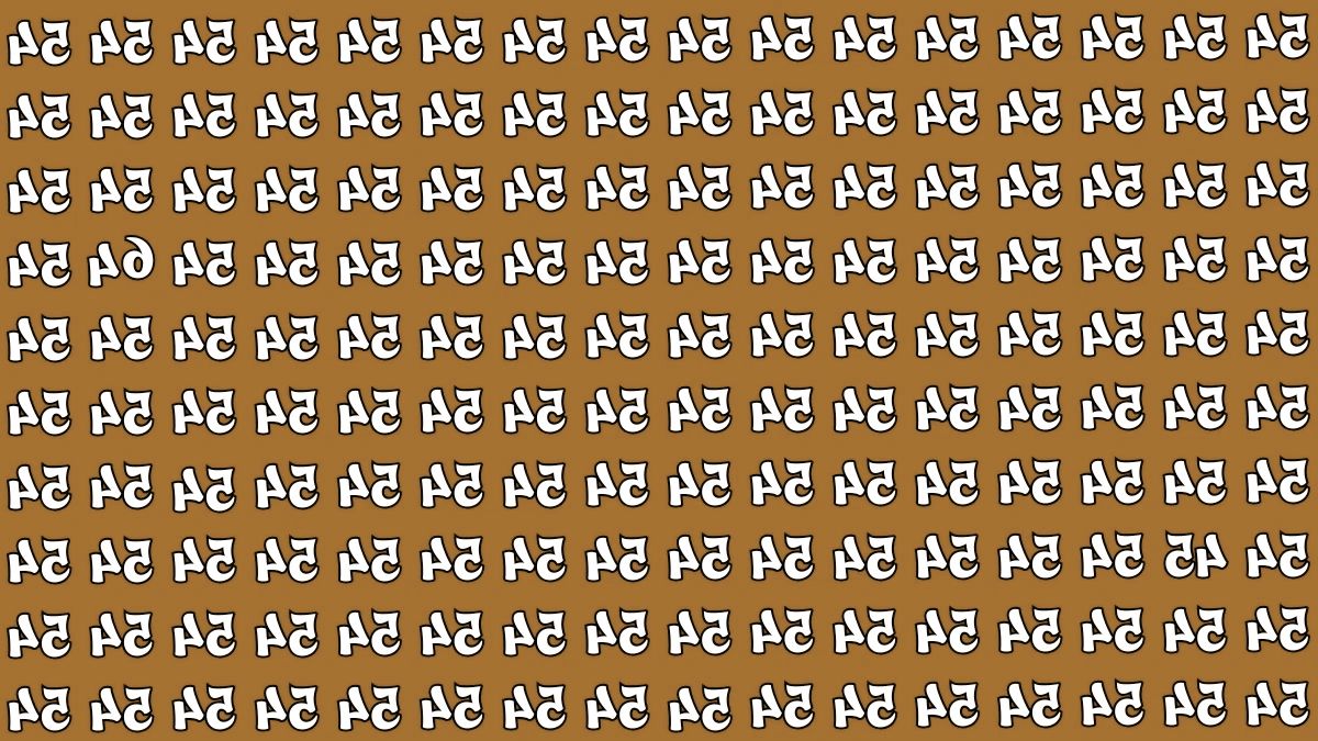 find the inverted 45 and  64 among 54-que  (1)