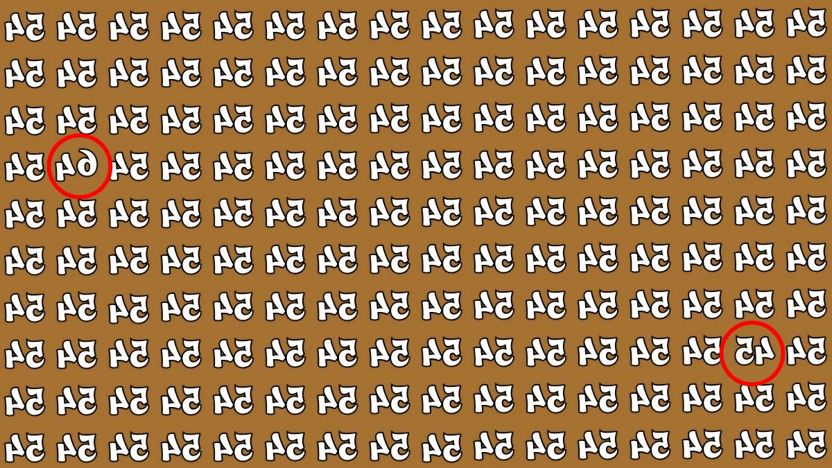 find the inverted 45 and 64 among 54-sol