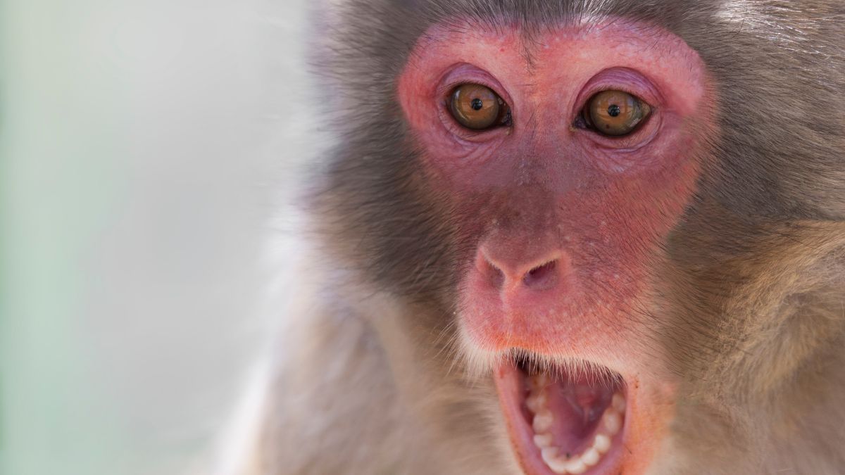 largest national park