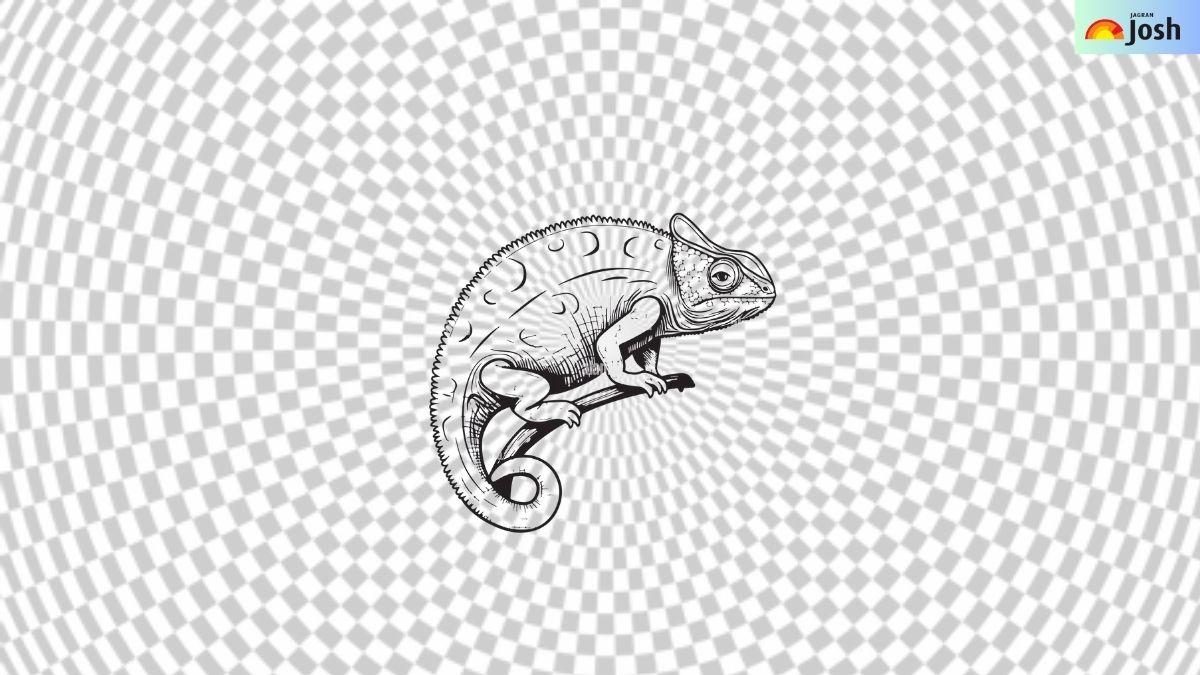 find which animal is hidden-sol