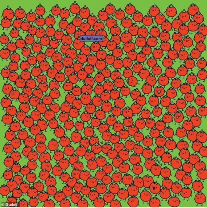 find-hidden-apples-picture-puzzle